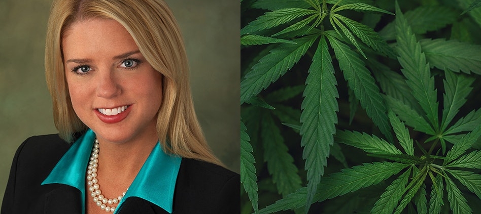 how-trump’s-new-attorney-general-pick-pam-bondi-might-affect-marijuana-reform-|-where-to-order-skittles-moonrock-online