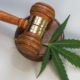 tennessee-judge-delays-new-hemp-product-regulations-–-ganjapreneur-|-how-to-buy-skittles-moonrock-online