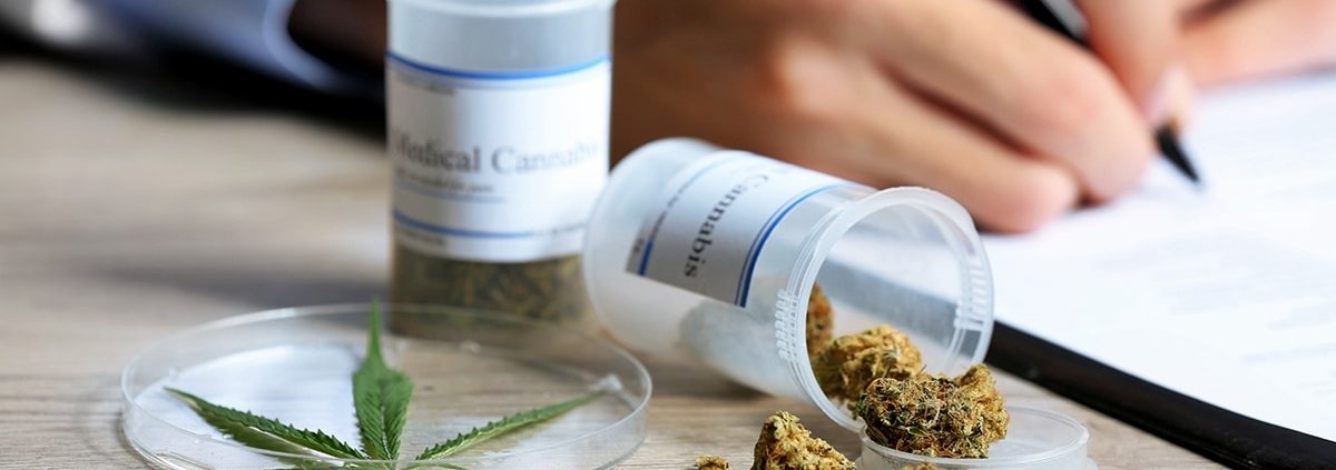 medical-cannabis-now-legal-in-kentucky-–-ganjapreneur-|-how-to-order-skittles-moonrock-online