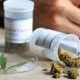 medical-cannabis-now-legal-in-kentucky-–-ganjapreneur-|-how-to-order-skittles-moonrock-online