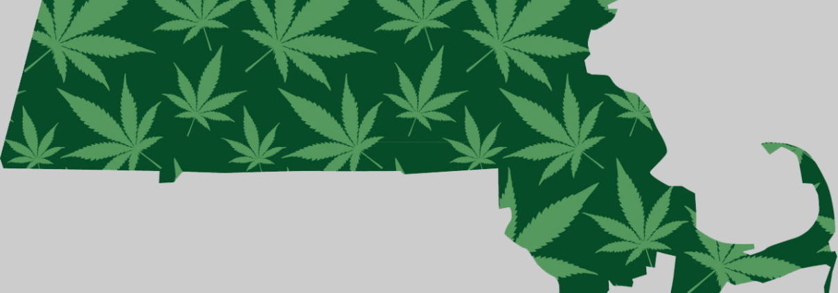 massachusetts-hires-new-cannabis-regulatory-czar-|-where-to-order-skittles-moonrock-online