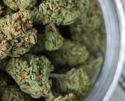 new-york-adult-use-cannabis-sales-top-$1b-–-ganjapreneur-|-how-to-buy-skittles-moonrock-online