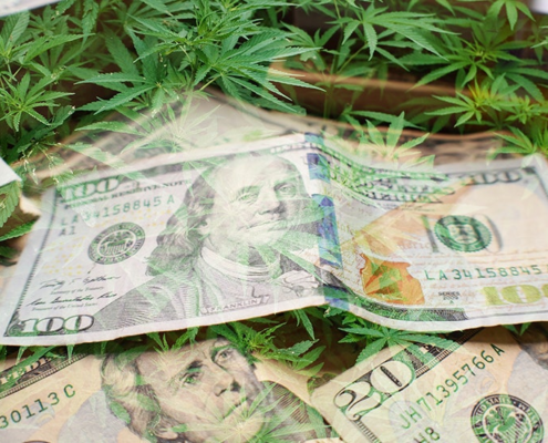 new-york’s-medical-cannabis-sales-figures-go-unsung-in-2024-|-how-to-order-skittles-moonrock-online