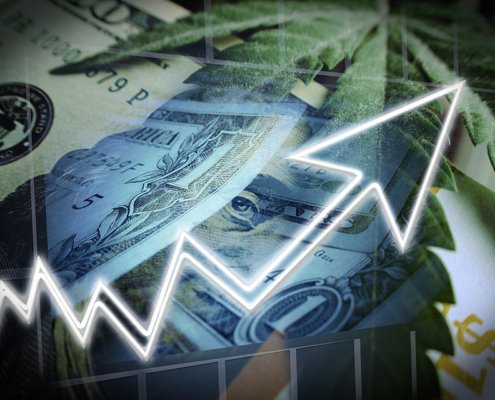 safe-harbor-cuts-loan-liability-in-credit-union-deal-|-how-to-order-skittles-moonrock-online