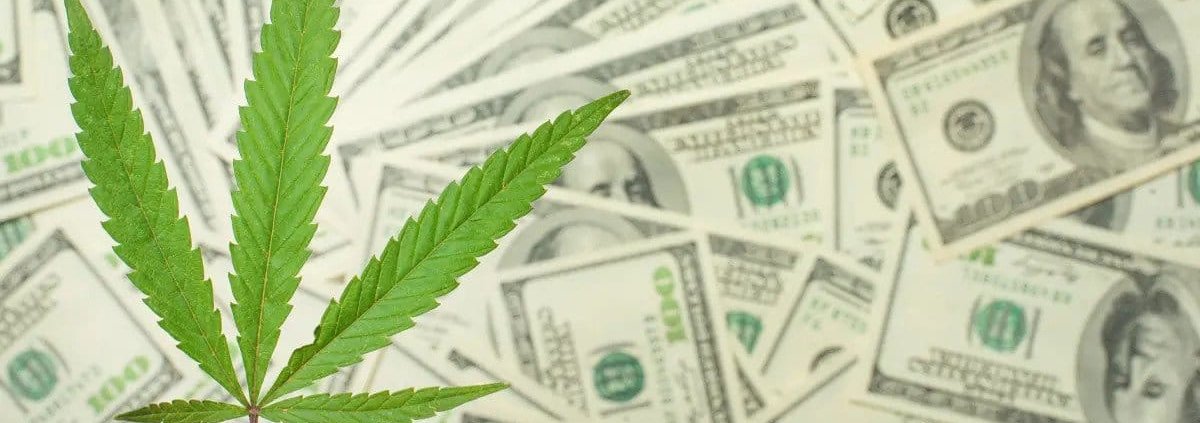 ohio-cannabis-sales-total-$242m-in-2024-–-ganjapreneur-|-where-to-buy-skittles-moonrock-online