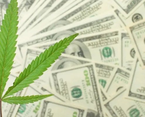 ohio-cannabis-sales-total-$242m-in-2024-–-ganjapreneur-|-where-to-buy-skittles-moonrock-online