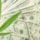 ohio-cannabis-sales-total-$242m-in-2024-–-ganjapreneur-|-where-to-buy-skittles-moonrock-online