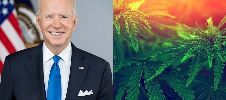 president-joe-biden-commutes-sentences-for-nearly-2,500-nonviolent-drug-offenders-|-how-to-buy-skittles-moonrock-online