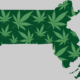 massachusetts-marijuana-sales-top-$1.6-billion-in-2024-|-how-to-order-skittles-moonrock-online