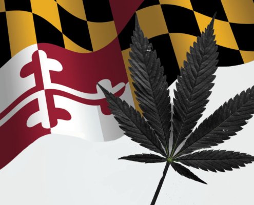 maryland-governor-names-new-cannabis-czar-|-how-to-buy-skittles-moonrock-online