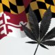 maryland-governor-names-new-cannabis-czar-|-how-to-buy-skittles-moonrock-online