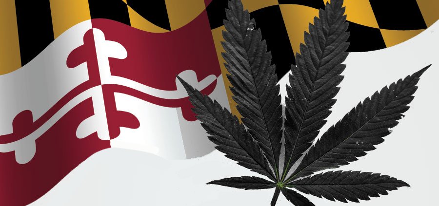 maryland-governor-names-new-cannabis-czar-|-how-to-buy-skittles-moonrock-online