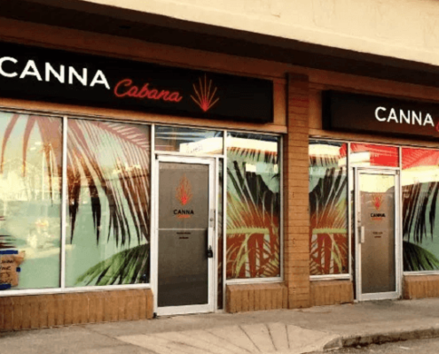 high-tide-posts-c$3.8-million-loss-for-fiscal-year-2024-|-where-to-order-skittles-moonrock-online