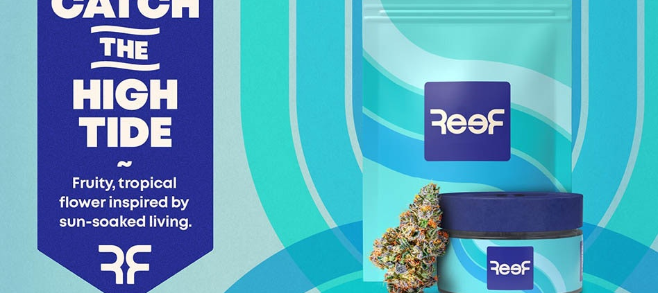 catch-the-high-tide:-curaleaf-launches-|-how-to-buy-skittles-moonrock-online