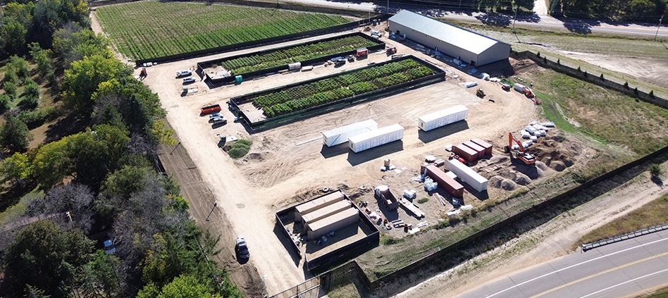 island-pezi-unveils-cannabis-cultivation-site-in-minnesota-|-how-to-buy-skittles-moonrock-online