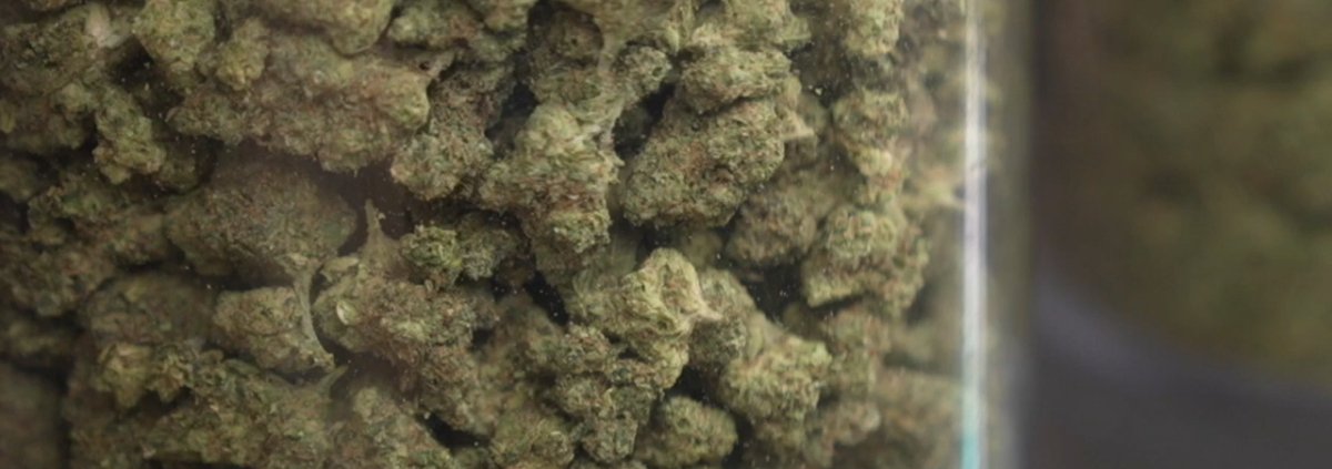 ohio-weed-costs-double-michigan-|-how-to-buy-skittles-moonrock-online