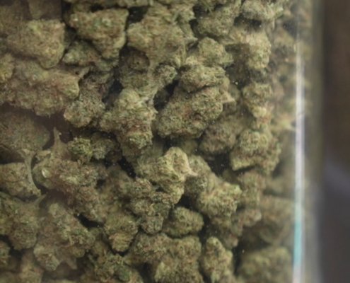 ohio-weed-costs-double-michigan-|-how-to-buy-skittles-moonrock-online