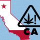california’s-active-cannabis-license-count-plummets-|-where-to-buy-skittles-moonrock-online