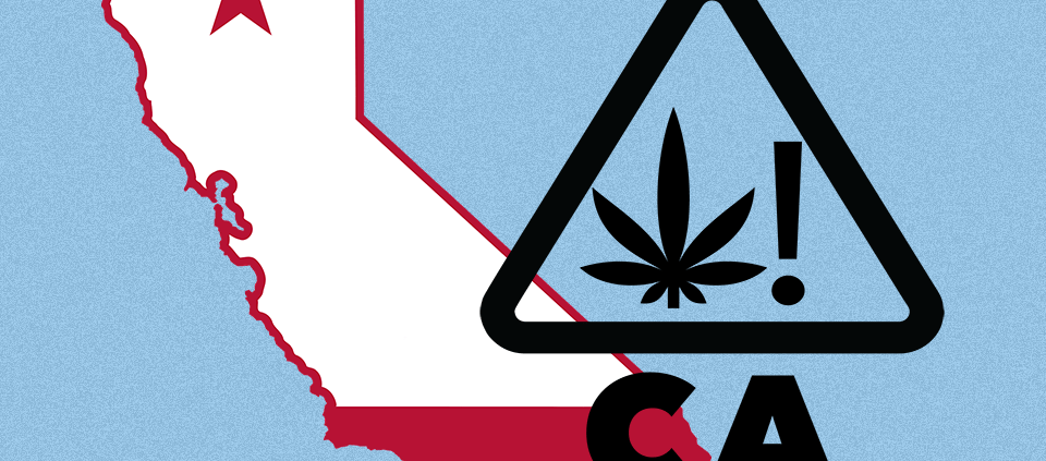 california’s-active-cannabis-license-count-plummets-|-where-to-buy-skittles-moonrock-online