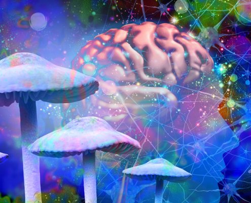 numinus-wellness-to-wind-down-subsidiaries-|-how-to-buy-skittles-moonrock-online