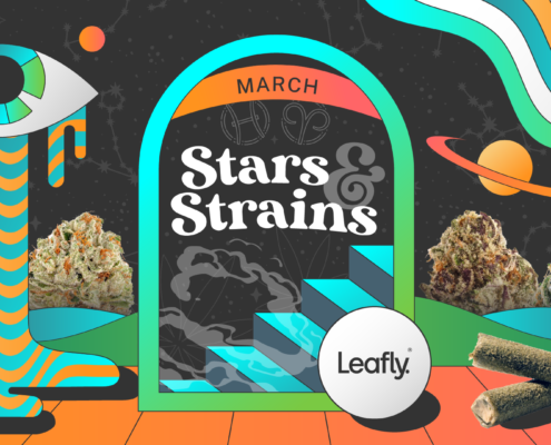 star-signs-and-cannabis-strains:-march-2025-horoscopes-|-where-to-order-skittles-moonrock-online