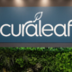 curaleaf-reports-$1.34-billion-in-2024-revenue-|-how-to-order-skittles-moonrock-online