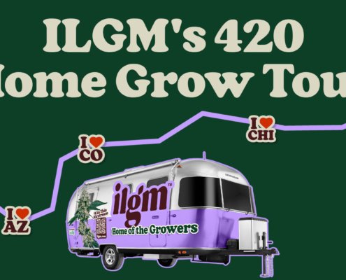 ilgm’s-home-grow-tour-2025-|-how-to-order-skittles-moonrock-online