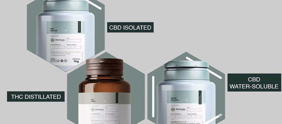 blueberries-raises-c$1-million-to-expand-operations-|-where-to-order-skittles-moonrock-online