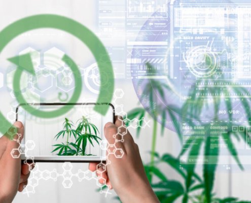 wurk,-c15-pair-up-for-strategic-partnership-|-how-to-buy-skittles-moonrock-online