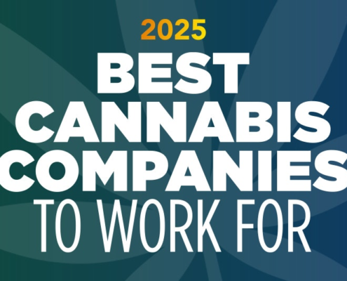 meet-the-2025-best-cannabis-companies-to-work-for-|-where-to-buy-skittles-moonrock-online