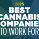 meet-the-2025-best-cannabis-companies-to-work-for-|-where-to-buy-skittles-moonrock-online