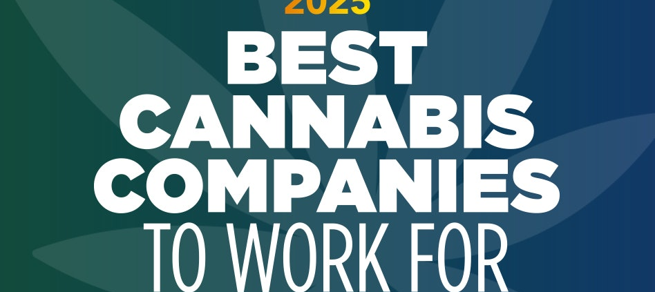 meet-the-2025-best-cannabis-companies-to-work-for-|-where-to-buy-skittles-moonrock-online