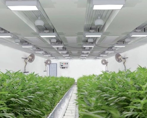 uc-asset-buys-remaining-ownership-of-a-cannabis-property-|-how-to-order-skittles-moonrock-online