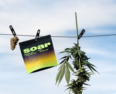 village-farms-reports-increased-revenue-and-beats-estimates-|-how-to-buy-skittles-moonrock-online