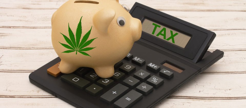maryland’s-fourth-quarter-tax-collection-dips-slightly-|-how-to-buy-skittles-moonrock-online