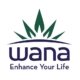texas-gets-new-hemp-derived-thc-edibles-from-wana-|-how-to-buy-skittles-moonrock-online