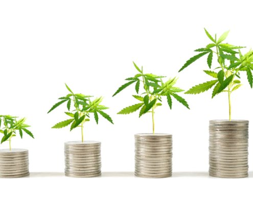 dividends-shine-as-cannabis-company-valuations-tumble-|-where-to-order-skittles-moonrock-online