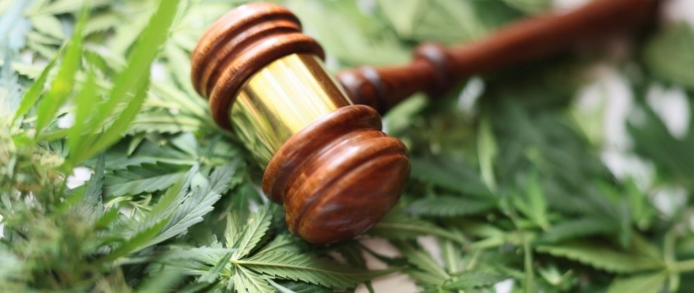 spurned-illinois-social-equity-backer-sues-partner-|-how-to-order-skittles-moonrock-online