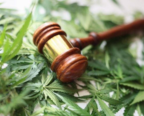 spurned-illinois-social-equity-backer-sues-partner-|-how-to-order-skittles-moonrock-online