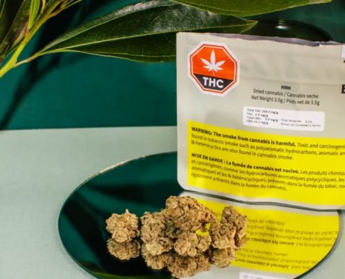 bc-bud-officially-leaves-cannabis-for-crypto-|-how-to-order-skittles-moonrock-online