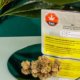 bc-bud-officially-leaves-cannabis-for-crypto-|-how-to-order-skittles-moonrock-online