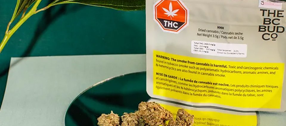 bc-bud-officially-leaves-cannabis-for-crypto-|-how-to-order-skittles-moonrock-online