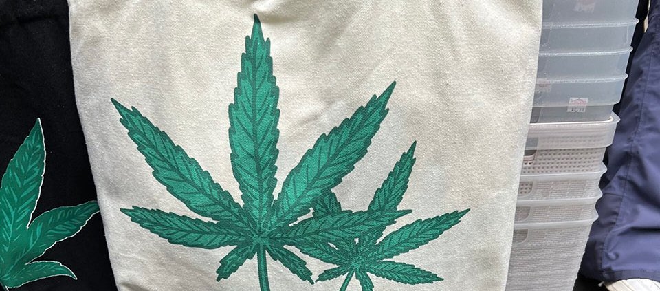 ny-governor-revives,-amends-cannabis-event-rules-|-how-to-order-skittles-moonrock-online