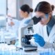 alto-neuroscience-says-its-funded-through-2028-|-where-to-buy-skittles-moonrock-online