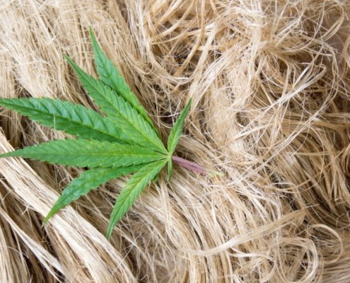 report:-texas-hemp-market-tops-$10m-as-senate-ban-advances-|-where-to-buy-skittles-moonrock-online