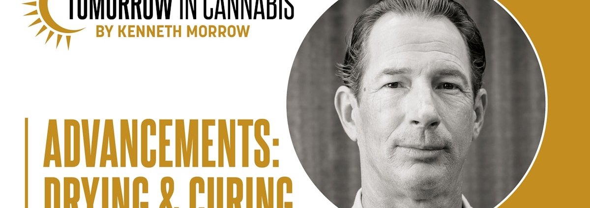 drying-and-curing-cannabis:-a-2025-update-|-where-to-order-skittles-moonrock-online