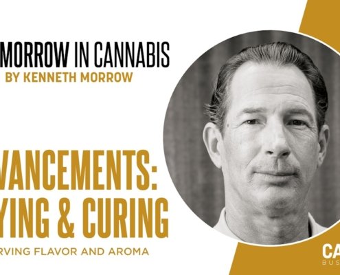 drying-and-curing-cannabis:-a-2025-update-|-where-to-order-skittles-moonrock-online