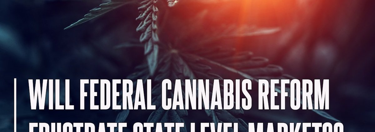 revisiting-gonzalez-in-the-face-of-a-potential-circuit-split-|-how-to-buy-skittles-moonrock-online