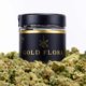 gold-flora-files-for-court-receivership,-preps-for-sale-|-where-to-order-skittles-moonrock-online