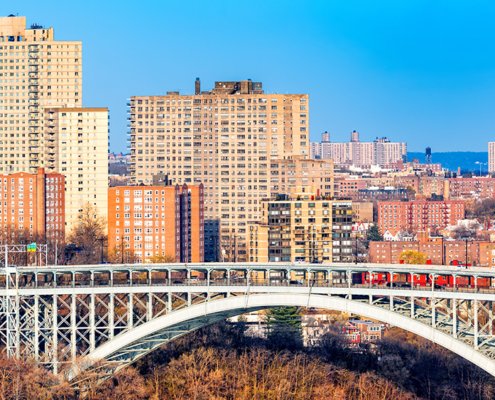 top-new-york-city-cannabis-official-resigns-–-ganjapreneur-|-how-to-order-skittles-moonrock-online